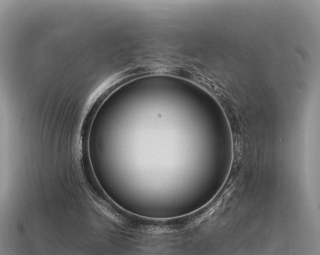 X0000113220246200909171601