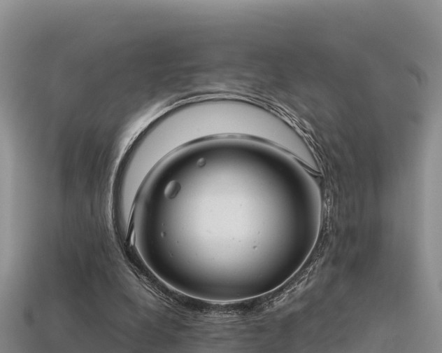 X0000113220248200909171601