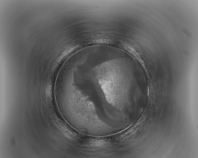 X0000113220249200909171601