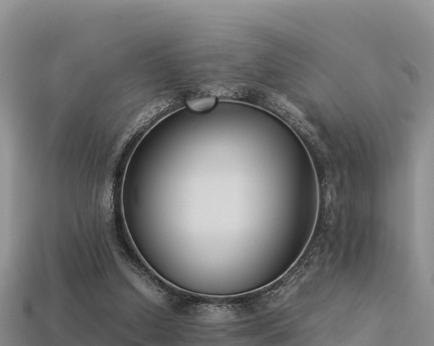 X0000113220250200909171601