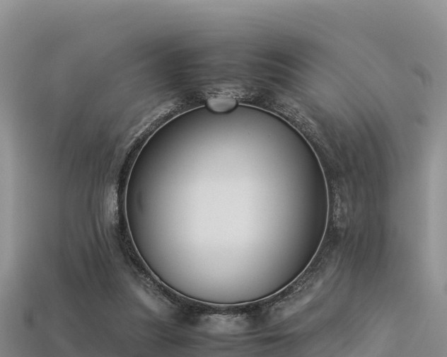 X0000113220251200909171601