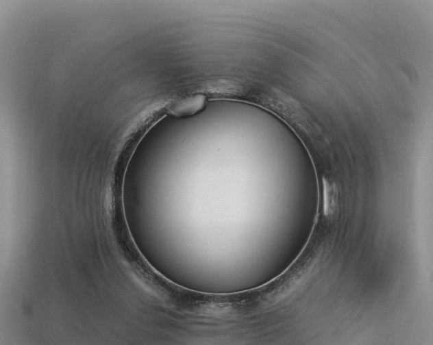 X0000113220252200909171601