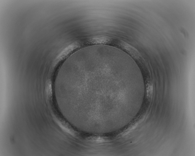 X0000113220254200909171601