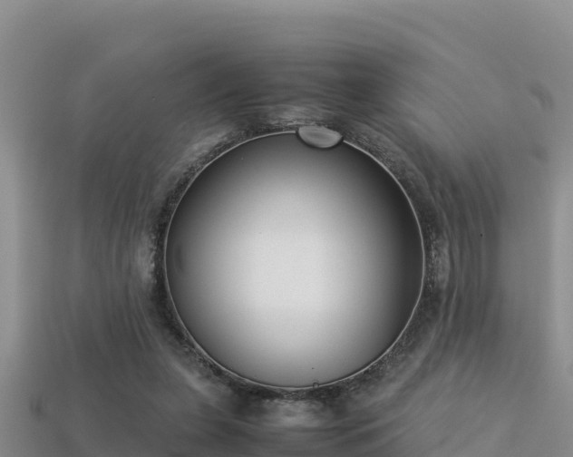 X0000113220255200909171601