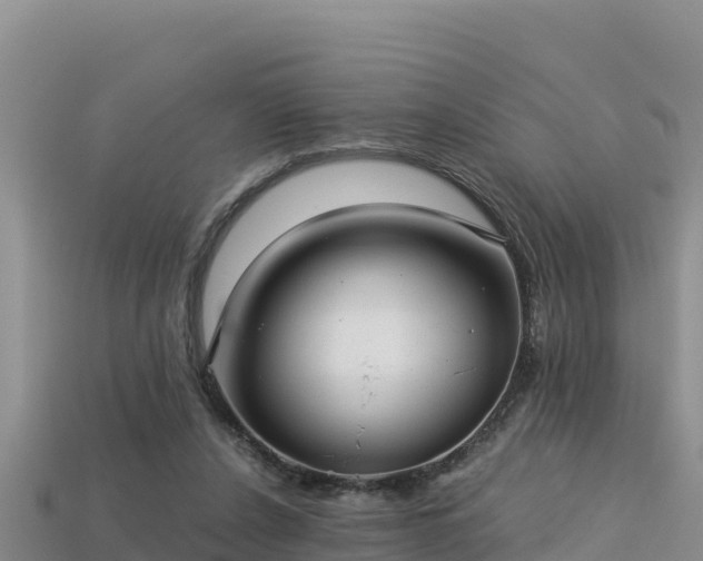 X0000113220256200909171601