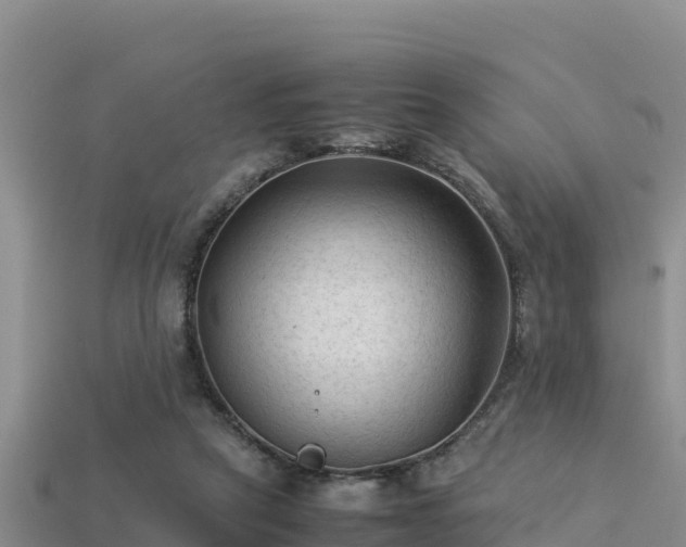 X0000113220257200909171601