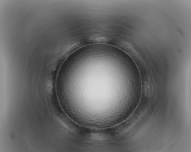 X0000113220259200909171601