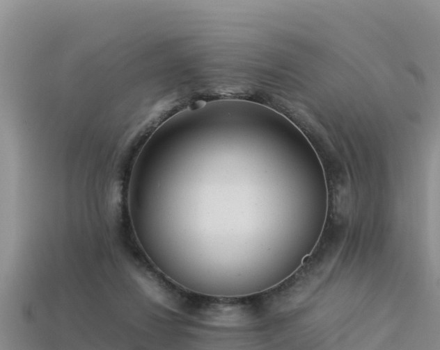 X0000113220260200909171601