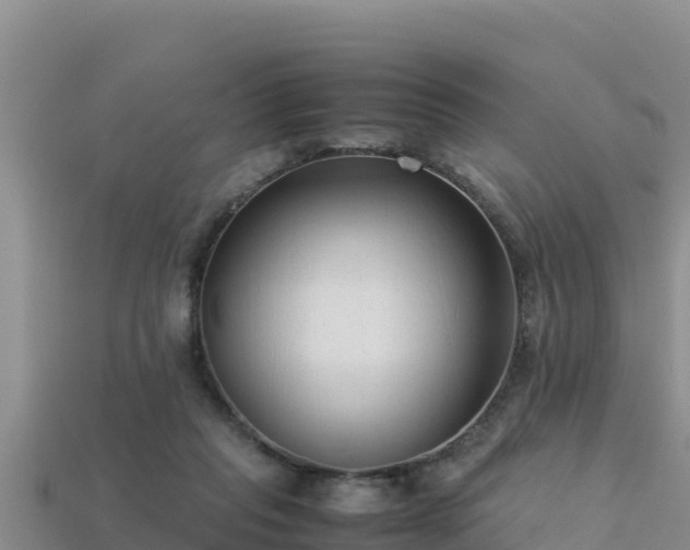 X0000113220261200909171601