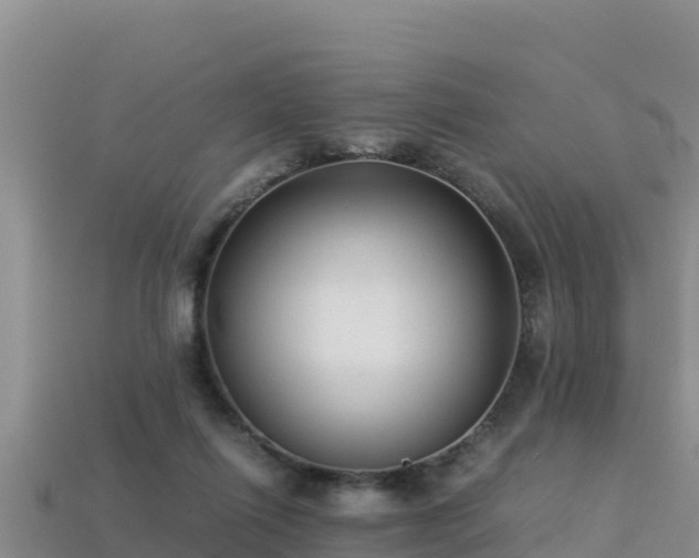 X0000113220262200909171601