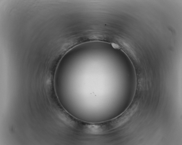 X0000113220265200909171601