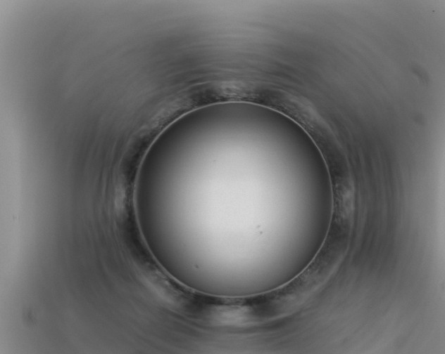 X0000113220266200909171601