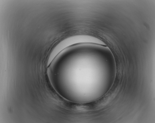 X0000113220268200909171601