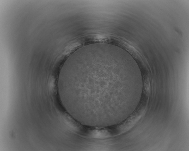 X0000113220270200909171601