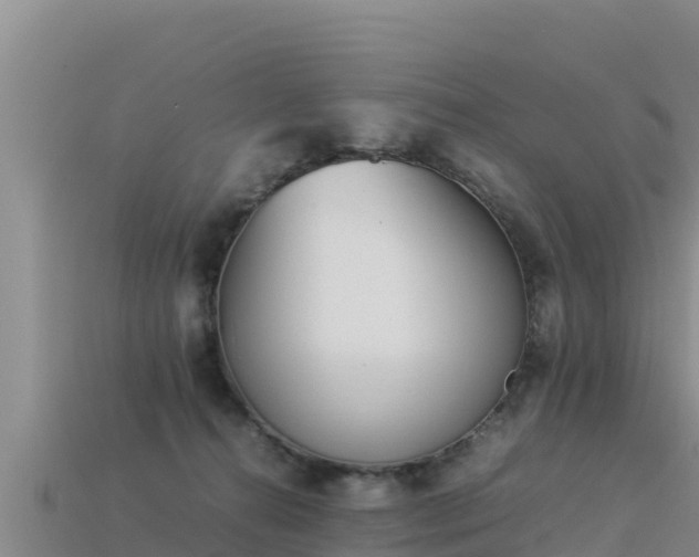 X0000113220272200909171601