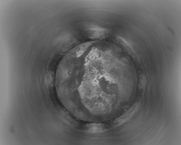 X0000113220273200909171601