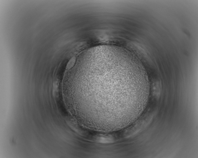 X0000113220275200909171601