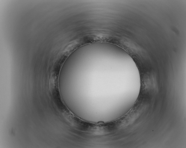 X0000113220276200909171601