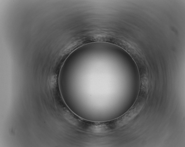 X0000113220278200909171601