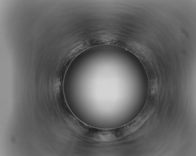 X0000113220279200909171601