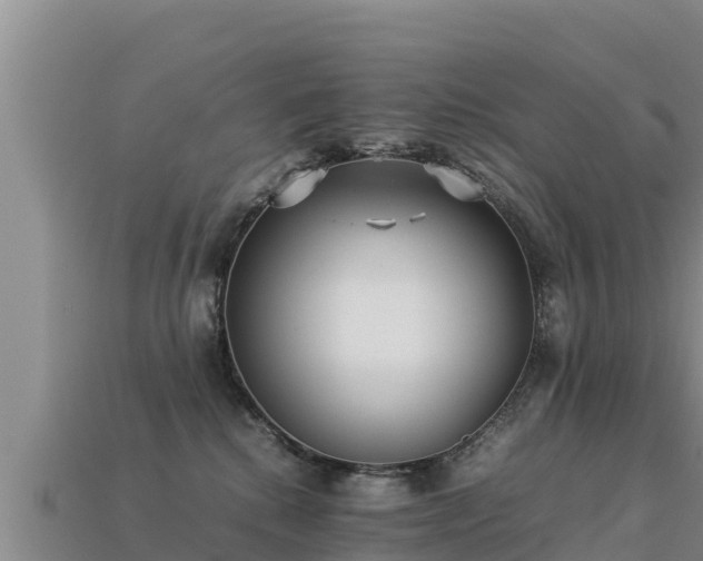 X0000113220280200909171601