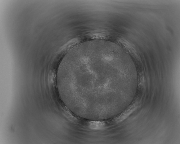 X0000113220281200909171601