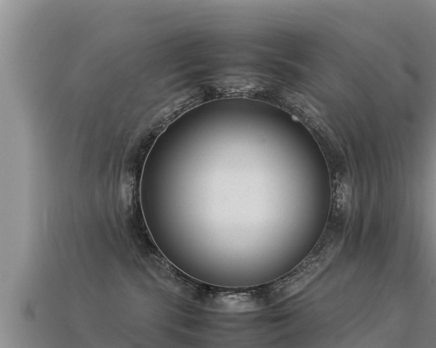 X0000113220283200909171601