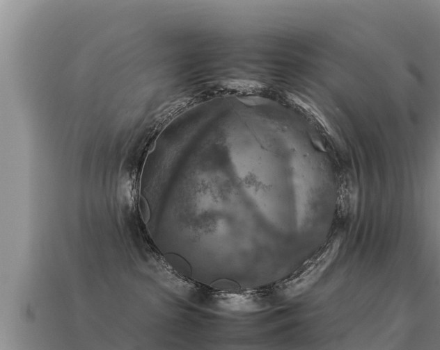 X0000113220285200909171601