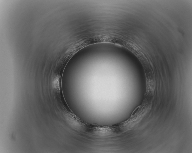 X0000113220286200909171601