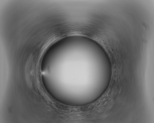 X0000113220289200909171600