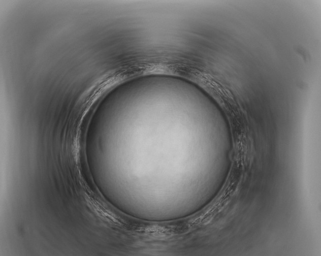 X0000113220290200909171600