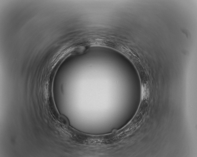 X0000113220291200909171600