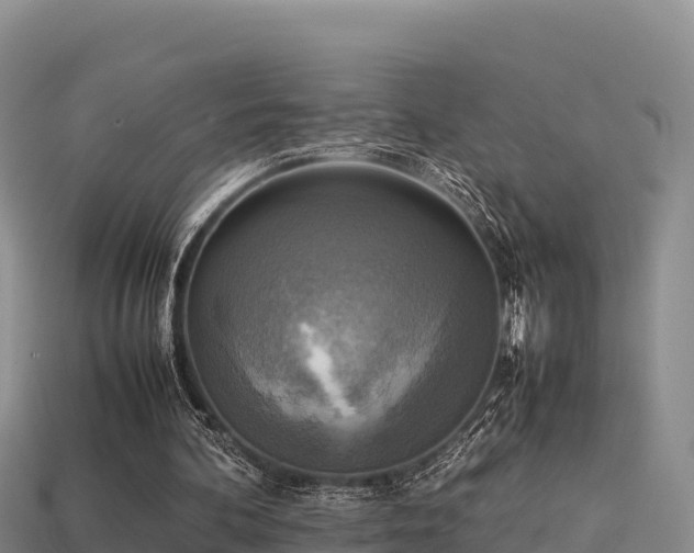 X0000113220292200909171600