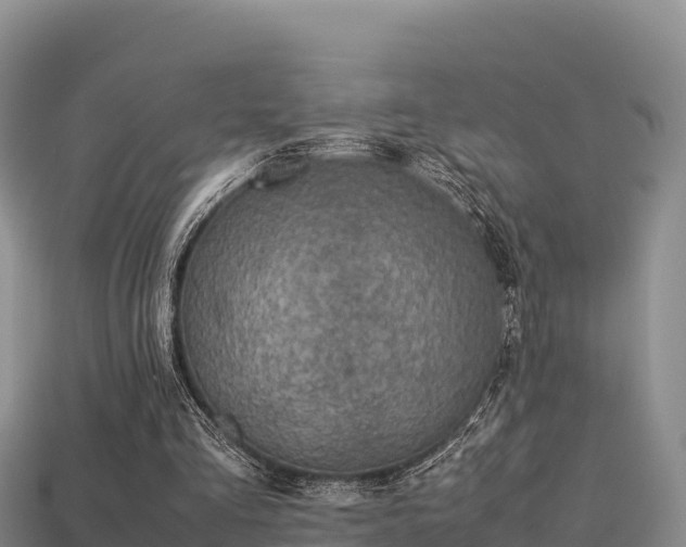 X0000113220293200909171600