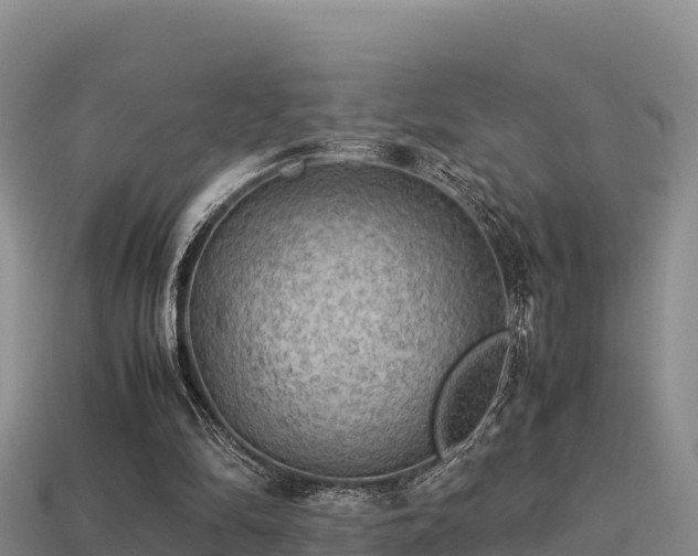 X0000113220294200909171600