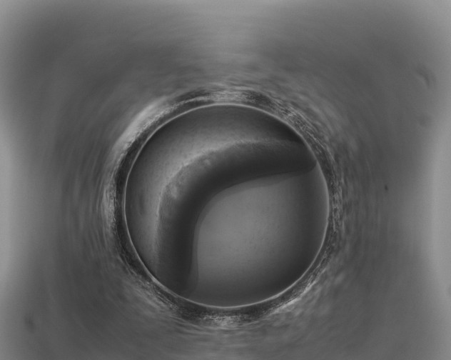 X0000113220295200909171600