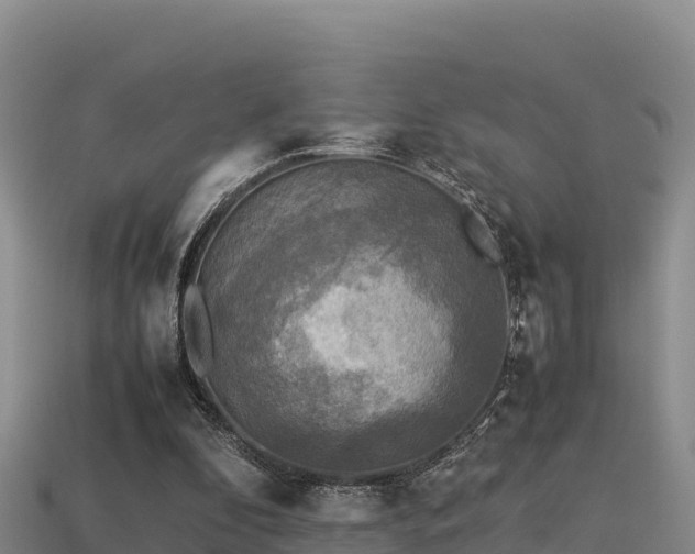 X0000113220296200909171600