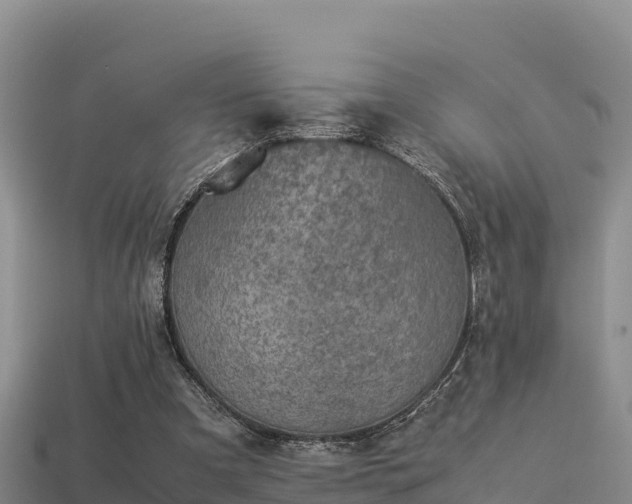 X0000113220297200909171600