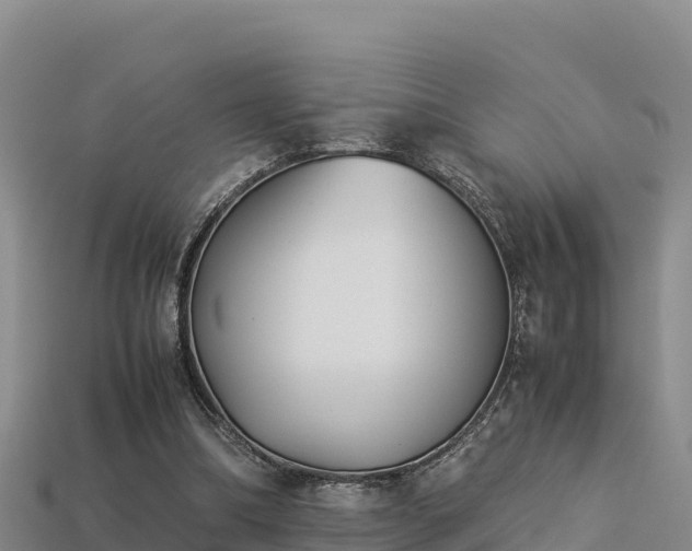 X0000113220298200909171600