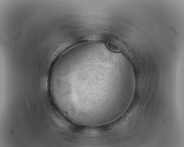 X0000113220299200909171600