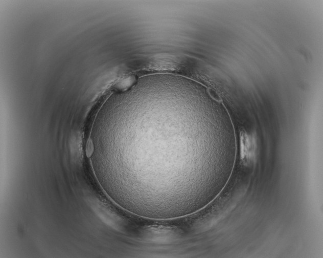 X0000113220300200909171600