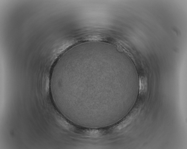 X0000113220301200909171600