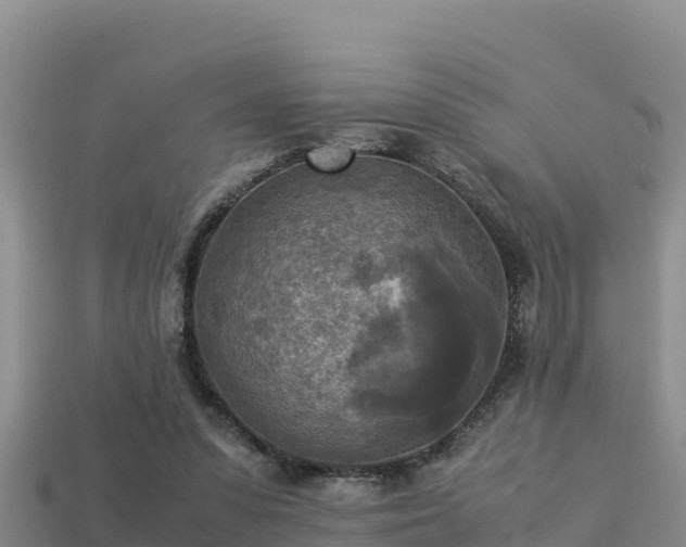 X0000113220303200909171600