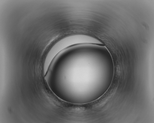 X0000113220304200909171600