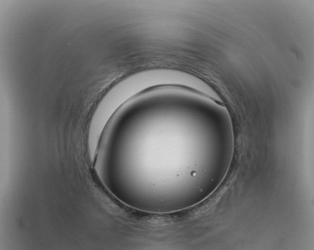 X0000113220305200909171600