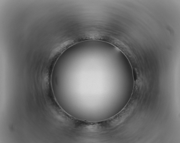 X0000113220306200909171600