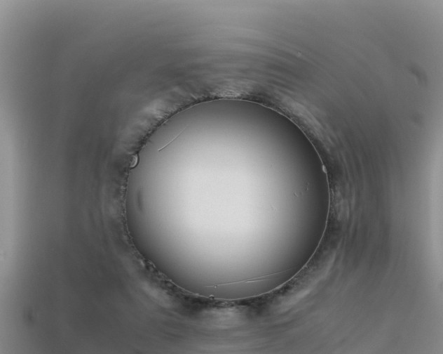 X0000113220307200909171600