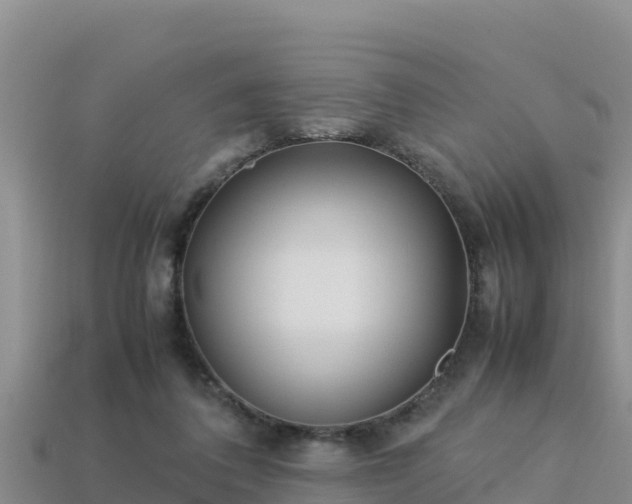 X0000113220308200909171600