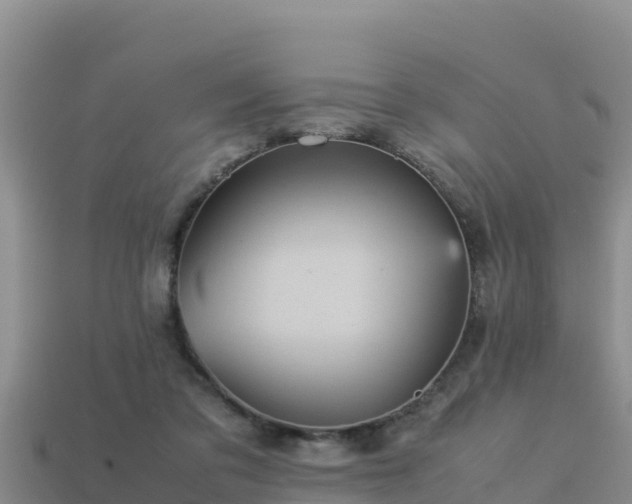 X0000113220309200909171600