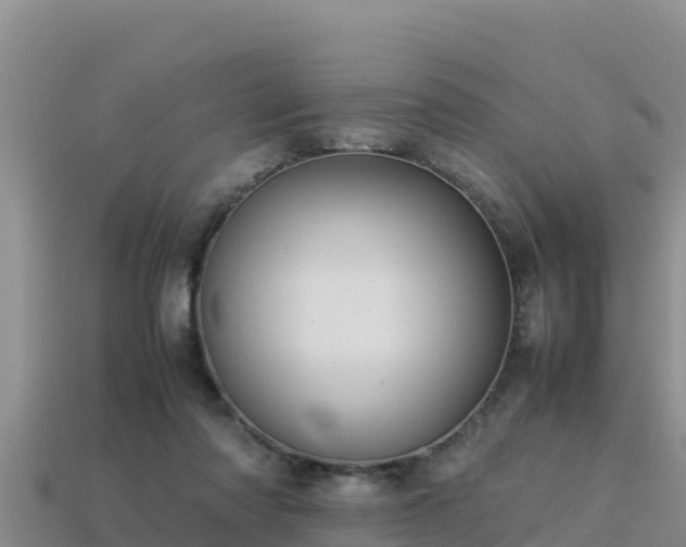 X0000113220310200909171600